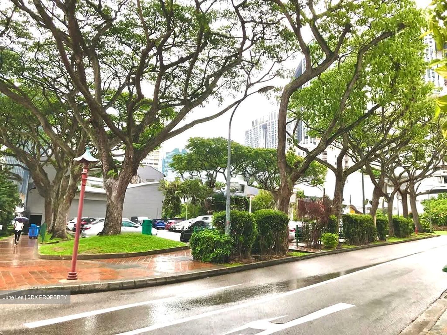 Tanjong Pagar Conservation Area (D2), Retail #594388211